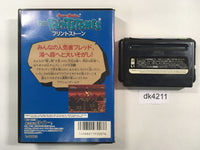 DK4211 The Flintstones BOXED Mega Drive Genesis Japan