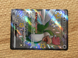 CD4836 Squawkabilly ex SSR sv4a 337/190 Pokemon Card TCG Japan