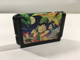 DK4211 The Flintstones BOXED Mega Drive Genesis Japan