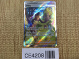 CE4208 Grant SAR s12a 238/172 Pokemon Card TCG Japan