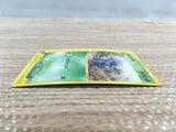 CD7811 Pineco Common e4 012/088 Pokemon Card TCG Japan