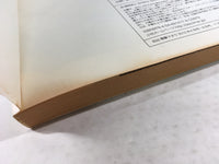 AAA1674 Puchimas! Vol.5 Japanese Manga