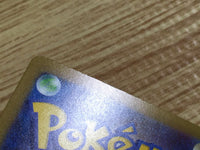 cd9310 Roark SR sv4M 085/066 Pokemon Card TCG Japan