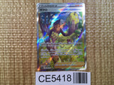 CE5418 Grant SAR s12a 238/172 Pokemon Card TCG Japan