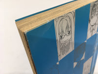 AAA1974 Tengai-san wa Angai Futsuu Vol.2 Japanese Manga