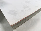 & And Vol.8 Japanese Manga - AAA2300