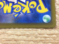 cd6013 Zamazenta V PROMO SJ 030/028 Pokemon Card TCG Japan