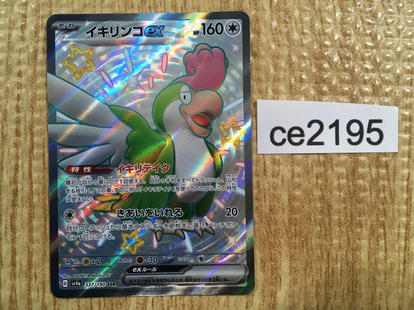 CE2195 Squawkabilly ex SSR sv4a 337/190 Pokemon Card TCG Japan
