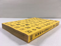 AAA1979 Tengai-san wa Angai Futsuu Vol.3 Japanese Manga
