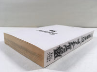 AAA1981 Kaze no Sylphid Vol.3 Japanese Manga