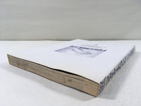 AAA1688 Fire Emblem: Dark Dragon and the Sword of Light Vol.10 Japanese Manga