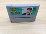 Kachou Shima Kousaku BOXED SNES Super Famicom Japan - UE5730