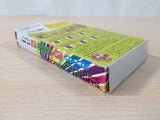 Nekketsu Baseball Monogatari Kunio Kun BOXED SNES Super Famicom Japan - UE1240