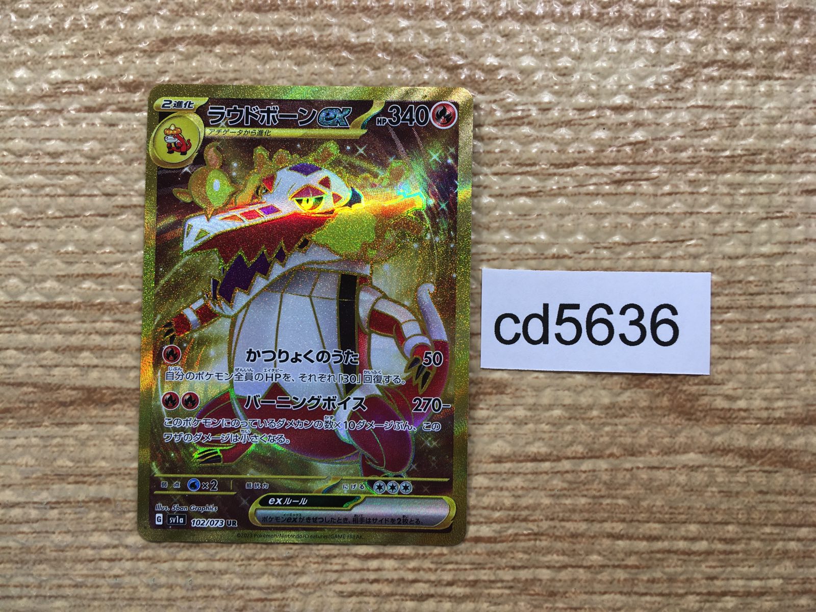 Pokemon Cards – Page 576 – J4U.co.jp