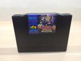 Shin Samurai Spirits Shodown 2 BOXED NEO GEO AES Japan - UE4318
