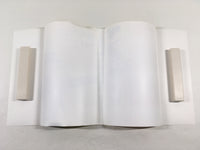 AAA1991 Gokusen Vol.4 Japanese Manga