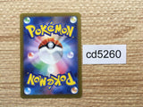 cd5260 Entei V SAR s12a 213/172 Pokemon Card TCG Japan