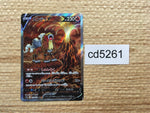 cd5261 Entei V SAR s12a 213/172 Pokemon Card TCG Japan