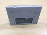 Dodge Danpei BOXED SNES Super Famicom Japan - UE5871