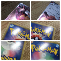 CE1380 Landorus - PROMO 112/BW-P Pokemon Card TCG Japan