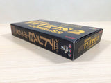 Super Tetris 2 + Bombliss Limited BOXED SNES Super Famicom Japan - UE4091