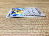 cd4122 Poncho-wearing Pikachu XY PROMO 203/XY-P Pokemon Card TCG Japan