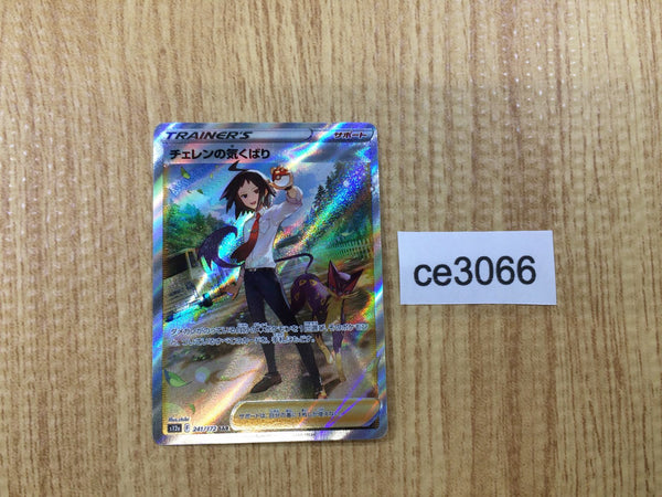 CE3066 Cheren's Care SAR s12a 241/172 Pokemon Card TCG Japan