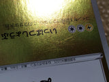 ce2295 Pikachu Yu Nagaba - PROMO 208/S-P Pokemon Card TCG Japan