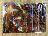 CE3611 Entei V SAR s12a 213/172 Pokemon Card TCG Japan