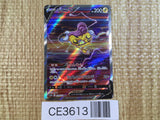 Raikou V SAR s12a 218/172 Pokemon Card TCG Japan - CE3613