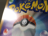 Raikou V SAR s12a 218/172 Pokemon Card TCG Japan - CE3613