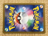 CE4314 Iron Valiant ex SR sv4M 080/066 Pokemon Card TCG Japan