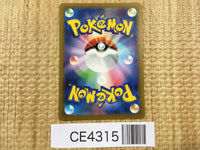 CE4315 Iron Valiant ex SR sv4M 080/066 Pokemon Card TCG Japan