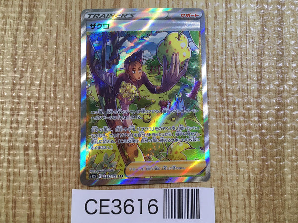 CE3616 Grant SAR s12a 238/172 Pokemon Card TCG Japan
