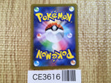 CE3616 Grant SAR s12a 238/172 Pokemon Card TCG Japan