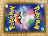Mallow & Lana PROMO PROMO 256/S-P Pokemon Card TCG Japan - CE3620