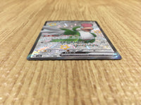 CE4336 Squawkabilly ex SSR sv4a 337/190 Pokemon Card TCG Japan