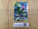 CE4945 Mega Sableye Tyranitar tag team GX SR SM11 101/094 Pokemon TCG Japan