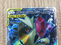 CE4945 Mega Sableye Tyranitar tag team GX SR SM11 101/094 Pokemon TCG Japan