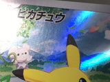 CE5603 Pikachu PROMO PROMO 218/SV-P Pokemon Card TCG Japan