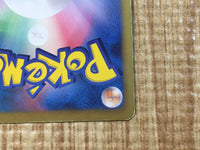 CE3724 Thundurus EX SR BW8TK 052/051 Pokemon Card TCG Japan