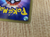 CE3223 Landorus - PROMO 112/BW-P Pokemon Card TCG Japan