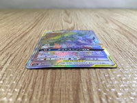 CE3740 Greninja&Zoroark tag team GX HR SM9a 066/055 Pokemon Card TCG Japan