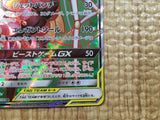 CE3741 Pheromosa & Buzzwole tag team GX SR SM9b 055/054 Pokemon Card TCG Japan