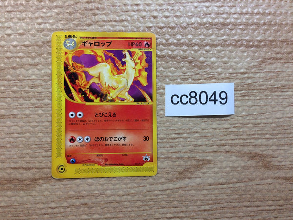 cc8049 Rapidash Fire PROMO PROMO 11/P Pokemon Card TCG Japan
