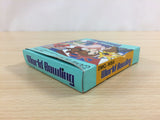World Bowling BOXED GameBoy Game Boy Japan - UD5147