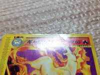 cc8049 Rapidash Fire PROMO PROMO 11/P Pokemon Card TCG Japan