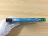 FG7451 Hatsune Miku Project DIVA PSP Japan
