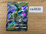 CA3830 VirizionGX Grass RR SM7a 006/060 Pokemon Card TCG