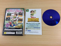 UB9774 Takahashi Meijin No Boukenjima Hudson Selection PS2 Japan